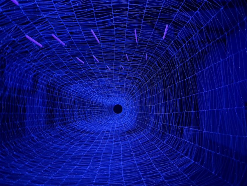 米谷健＋茱莉亞-生命之網