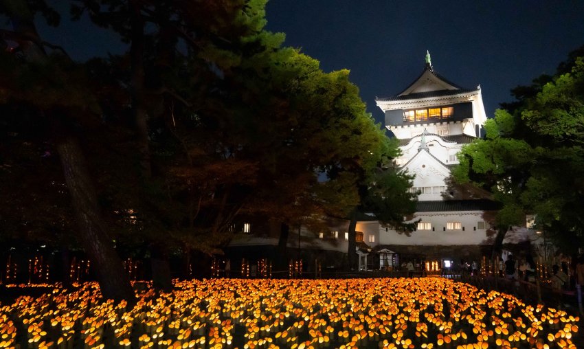 小倉城竹燈祭|秋夜限定光影盛宴