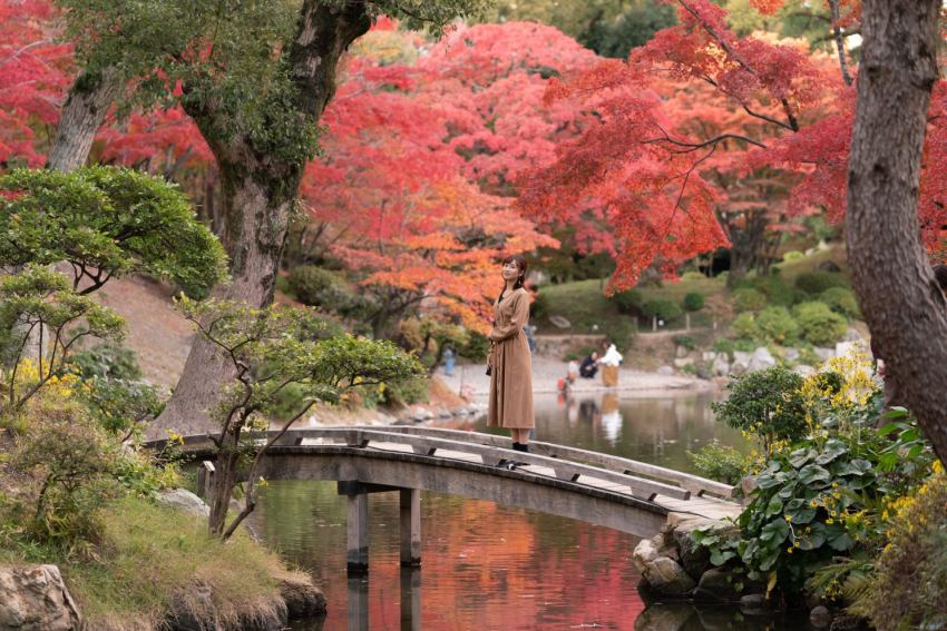 ▲【廣島市】縮景園的拱橋映照在池水中，紅葉與倒影交織出優雅的秋日景致