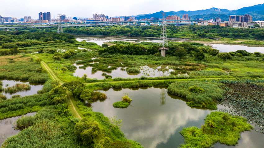 鹿角溪人工溼地作為新北市環境教育場所,提供專業濕地介紹以及周邊生態導覽,讓參加