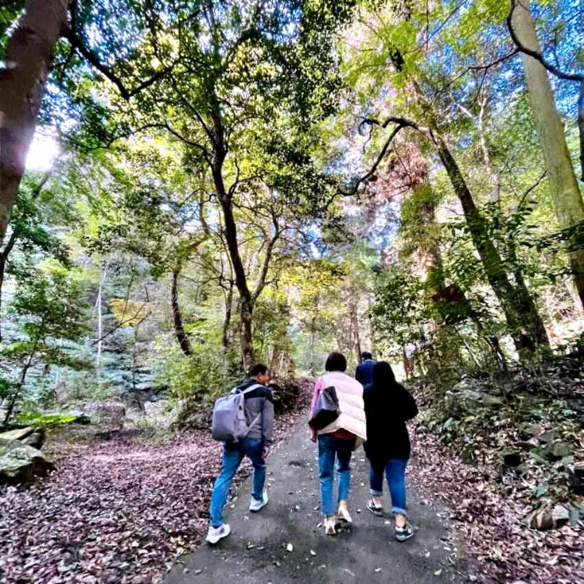 菅生瀑布|北九州避暑秘境