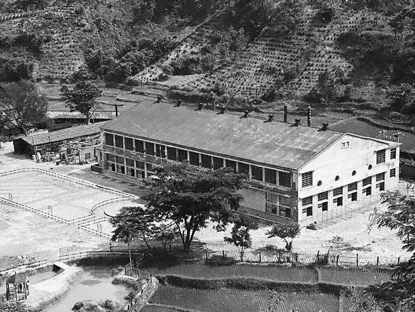 大溪老茶廠1956年曾遭祝融肆虐