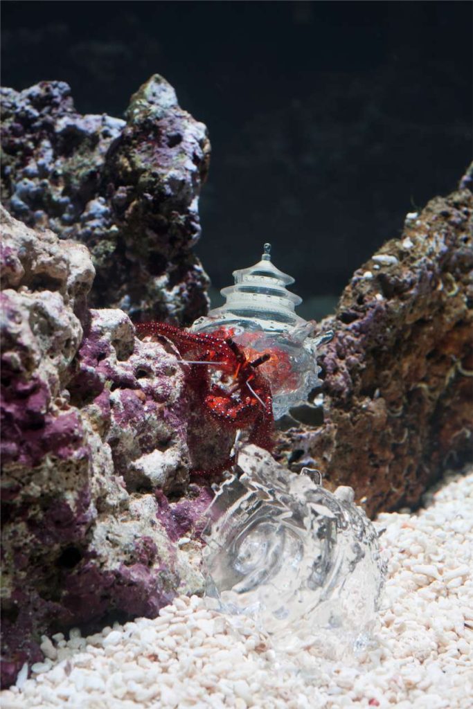 山展區｜豬股亞希作品照 _ (C)Nantes Metropole - Nantes Art Museum