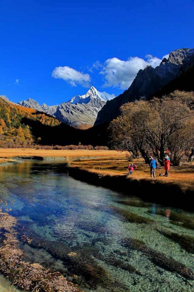 從沖古草甸望向雄偉的夏諾多吉雪峰
