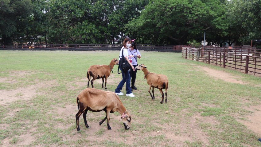 埔心牧場為台灣歷史悠久的親子旅遊景點