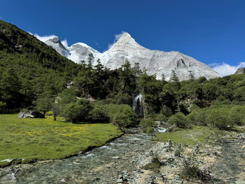 夏季翠綠的洛絨牛場，背景是央邁勇雪峰