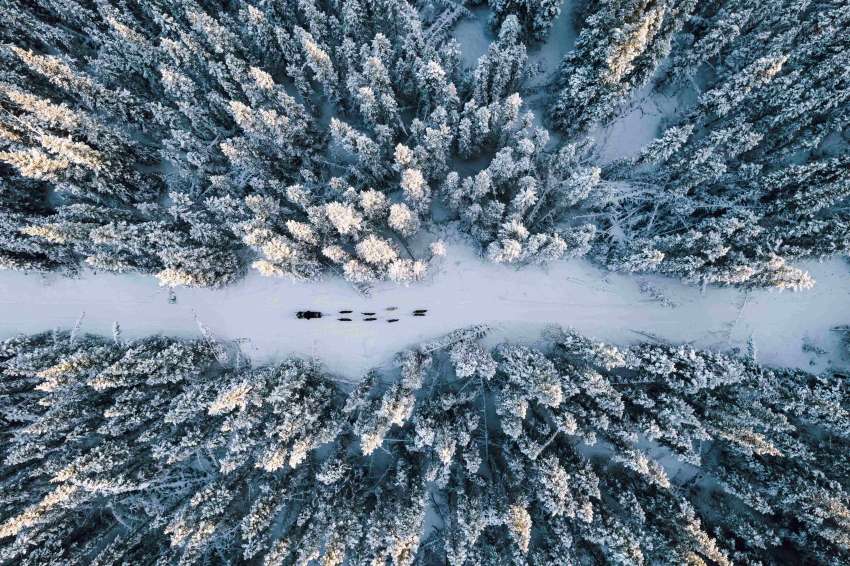 由於山峰和冰川幾乎覆蓋整座Kluane 國家公園,原始未開發的景色也被喻為是大自然最純粹的奇蹟(育空特區觀光廳提供)