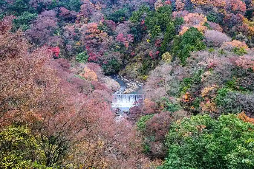 箱根