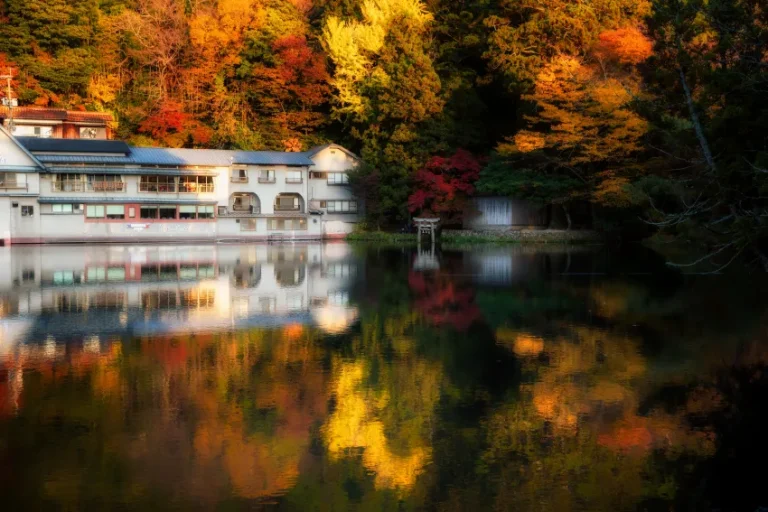 目前台灣無直飛大分航班，可搭機到福岡，再轉搭JR列車或長途巴士前往大分縣