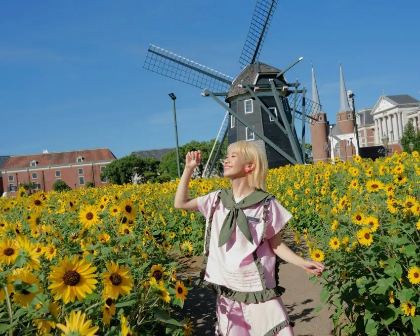 豪斯登堡-花卉道路-夏季向日葵(天地合娛樂提供)