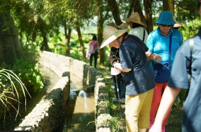 新竹縣南埔社區帶領民眾體驗百年水圳與傳統水車文化