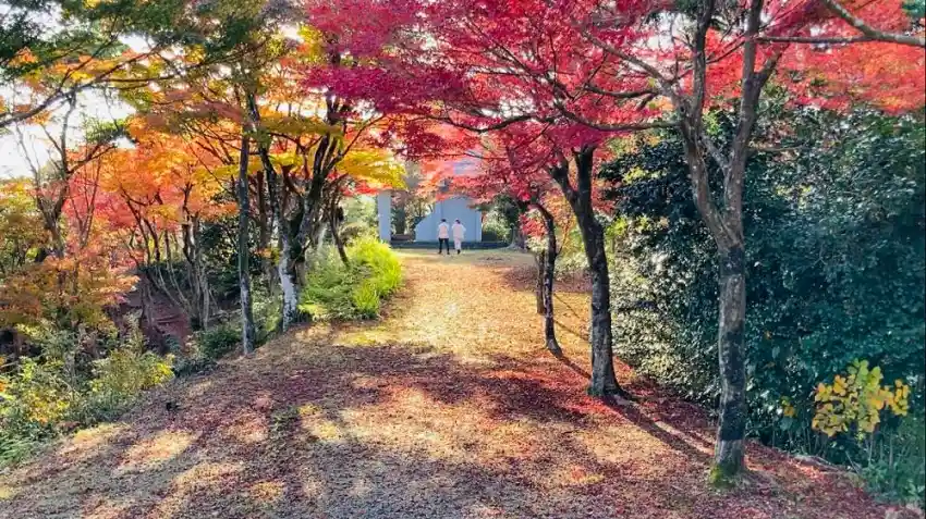 ▲紅葉名勝_東山公園