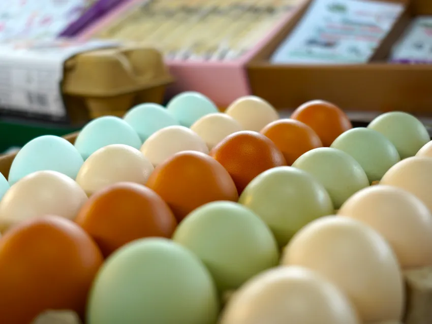 彰化畜產重鎮出好蛋，蛋香純厚，是餐桌上最自然的美味。