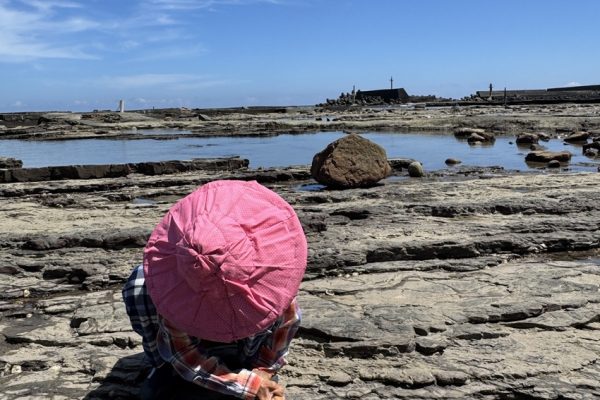 秋遊東北角新亮點　從海女文化到梯田風光打造「山海慢行」旅遊體驗