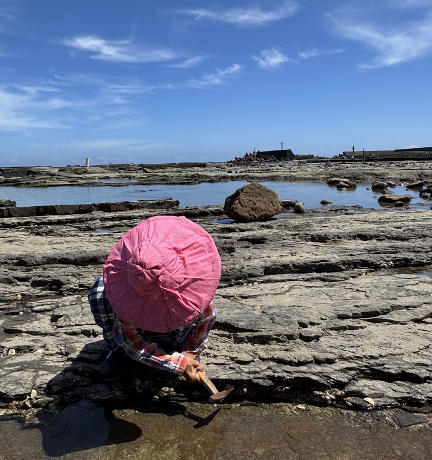 秋遊東北角新亮點　從海女文化到梯田風光打造「山海慢行」旅遊體驗
