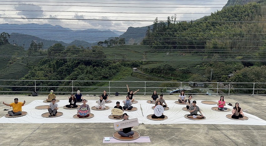 阿里山「四季茶旅」新登場　深度走入茶園的五感療癒之旅