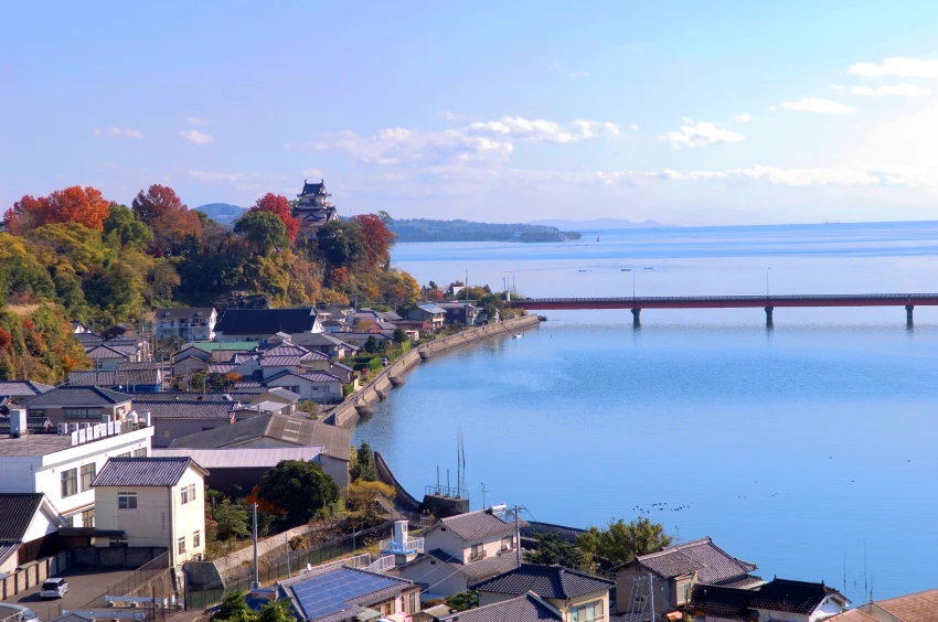在一松邸後方的展望台，可一覽八坂川沿岸風光