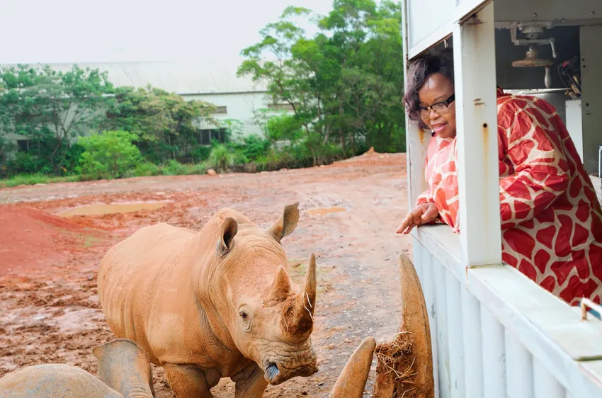 史瓦帝尼王國參訪團搭乘犀望巴士深入犀牛展場，史國觀光暨環境事務部部長 姆孔妲驚艷六福結合犀牛保育、環境教育推動永續旅遊。(圖/六福旅遊集團)