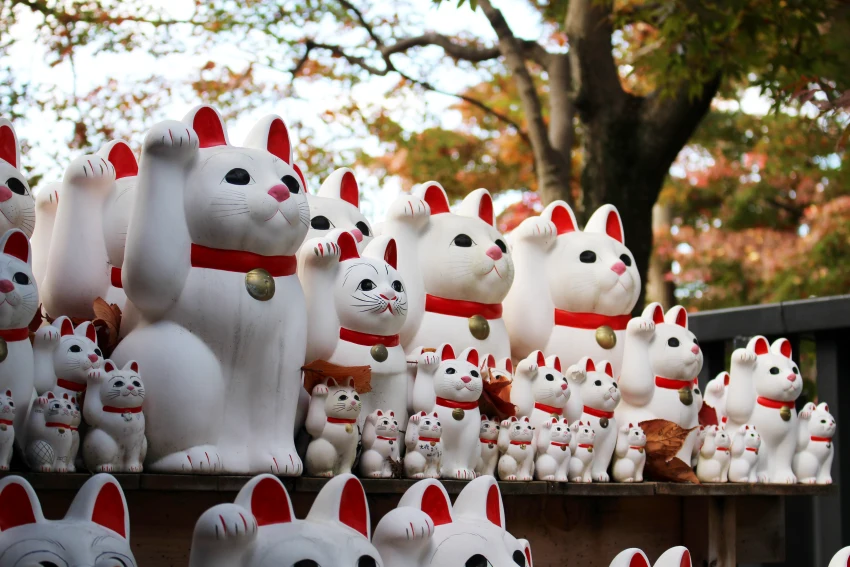 參拜招財貓神社：東京豪德寺、今戶神社攻略