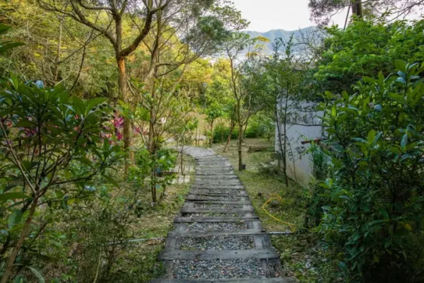 野柳里步道採用枕木結合碎石鋪設工法，兼具排水與止滑功能，行走更為穩定安全。