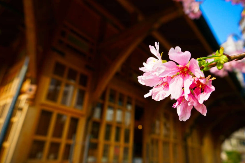 新北投車站推出114年12月1日至115年1月31日推出現場消費滿300元，即贈北投限定明信片優惠