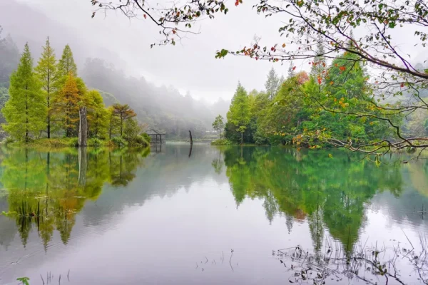 力麗觀光推出 萬元入住 四天三夜從容遊，平日三晚10,000元，漫享明池湖畔霧中轉色之美。圖力麗觀光提供