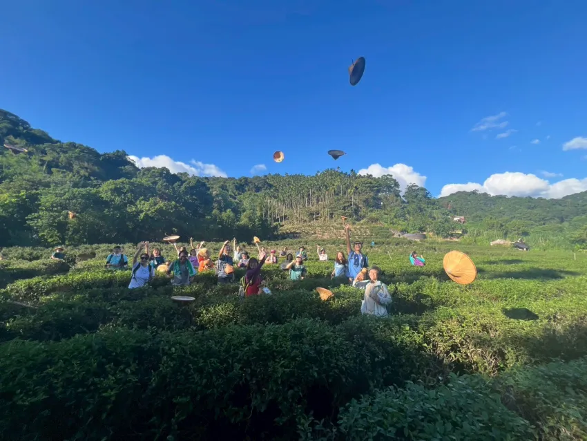 參與者於天芳茶行體驗採茶樂趣，在活動中認識地方茶文化與產業特色