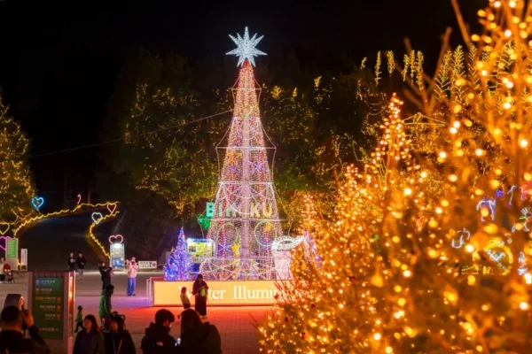 國立備北丘陵公園每年冬季都會舉辦華麗夢幻的「備北冬季點燈」活動。