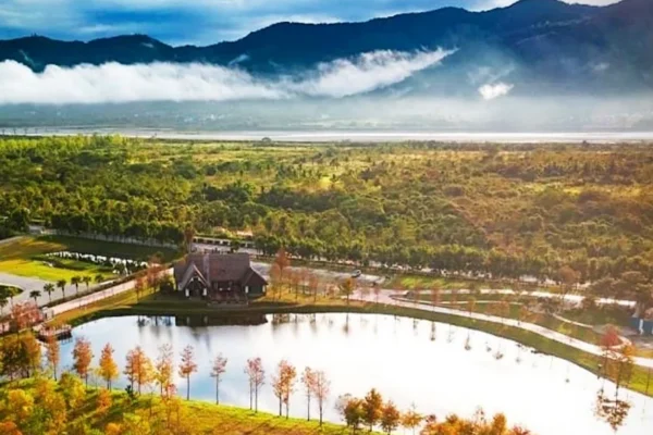 理想大地知名美景落羽松進入轉色期，橘紅倒影映在湖面，景緻如畫。