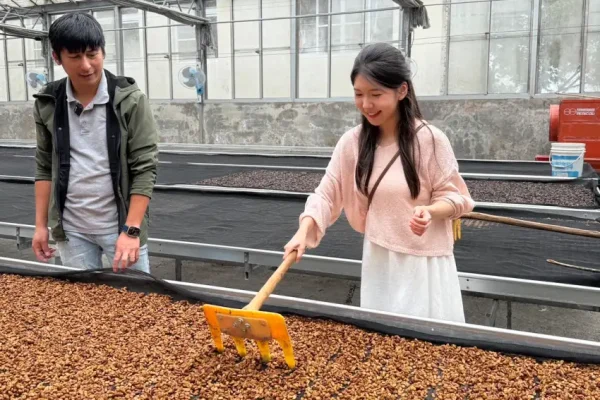 韓國人氣音樂創作人 金琳（Kim Rin） 阿里山咖啡之旅