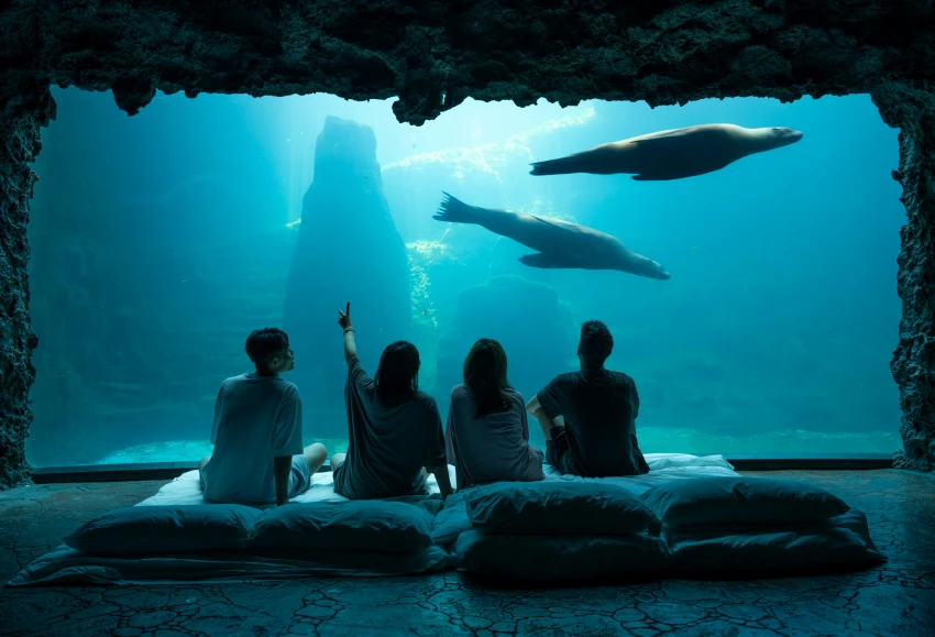 遠雄海洋公園「2025 ITF線上旅展」開跑，推超值限定優惠！