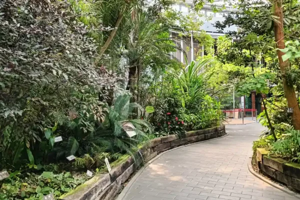 藏身在花博公園新生園區的臺北典藏植物園。