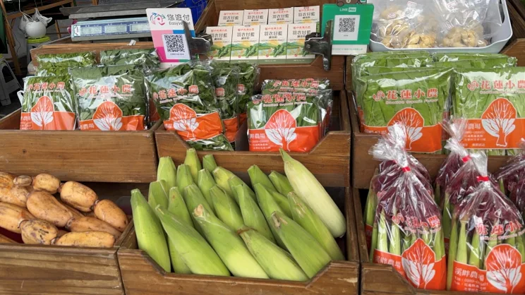 有機蔬菜-花蓮鄒