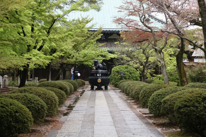 豪德寺春櫻秋楓皆景緻如畫