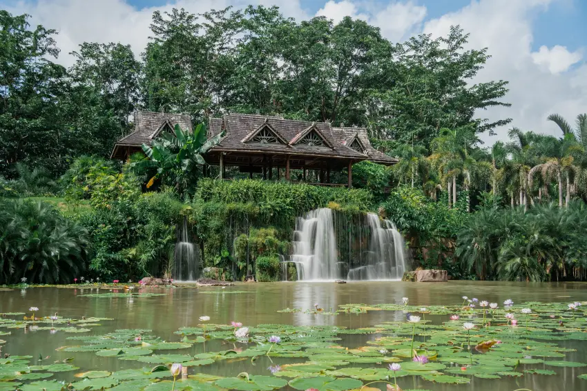 被譽為「亞洲植物的百科全書」的中國科學院西雙版納熱帶植物園，是所有遊客的必訪之地