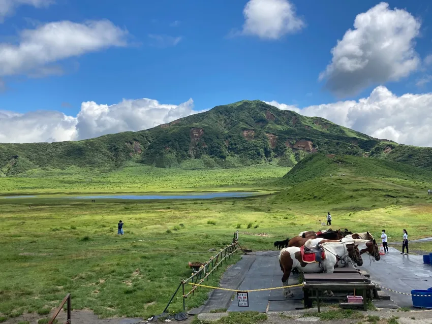 平坦的草千里適合放牧和騎馬散步