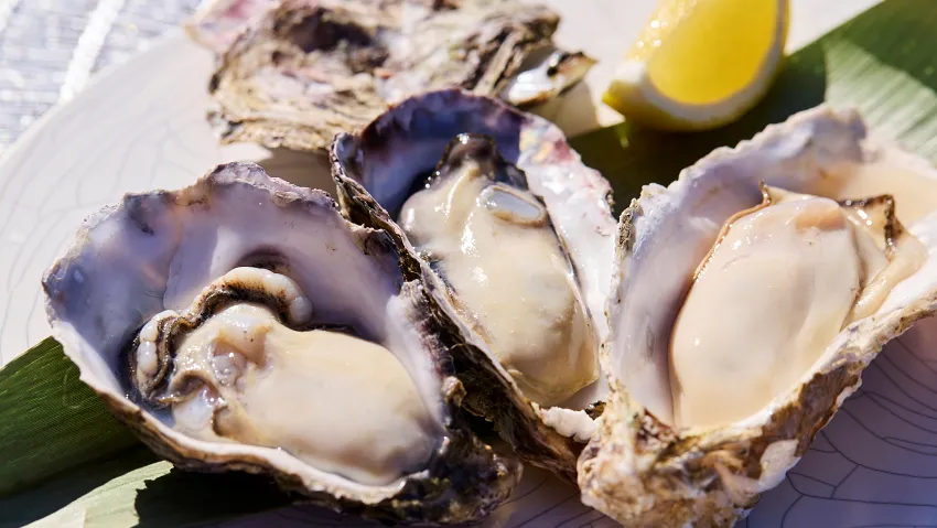 3種牡蠣風味比一比