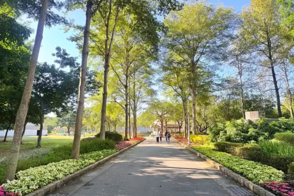 大安森林公園建國花市對面的公園2號出入口也換上了3色聖誕紅