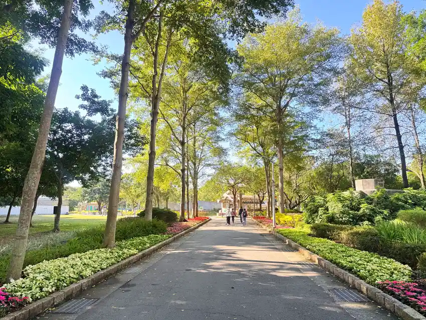 大安森林公園建國花市對面的公園2號出入口也換上了3色聖誕紅