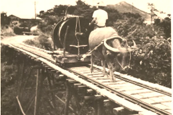 日治時期至戰後，出磺坑礦場一度有密集的台車軌道網絡，用以礦場內、外的設施與產品搬運