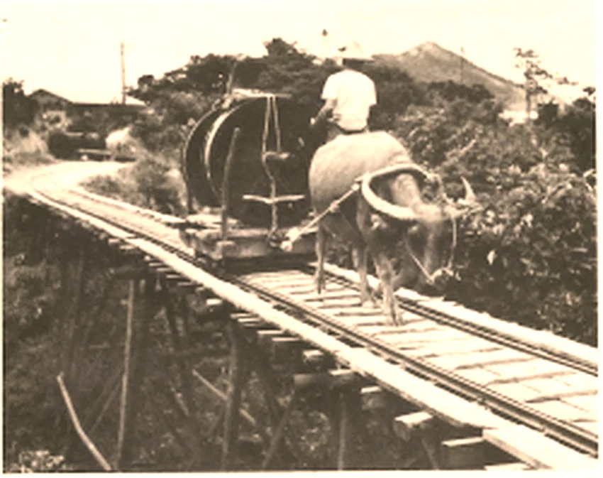 日治時期至戰後，出磺坑礦場一度有密集的台車軌道網絡，用以礦場內、外的設施與產品搬運