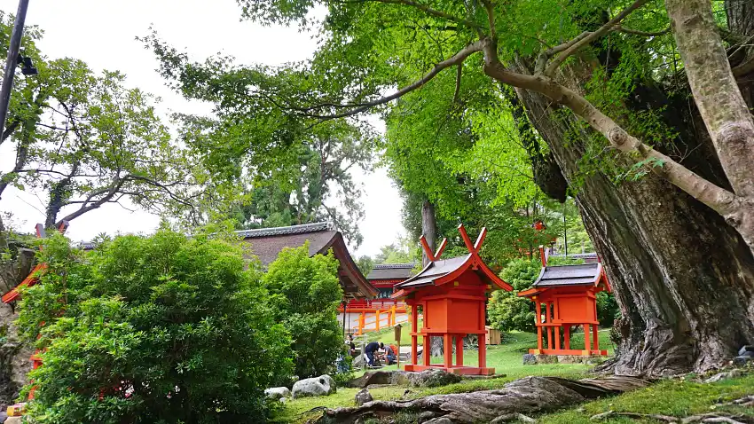 春日大社是神道信仰的重要聖地