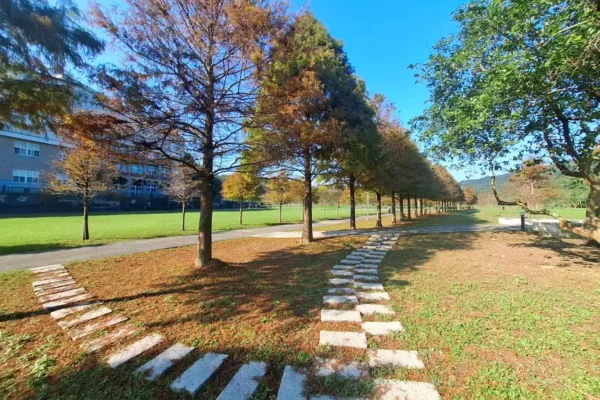貢寮環保公園內開闊草地與林蔭交織，營造出悠閒漫遊氛圍