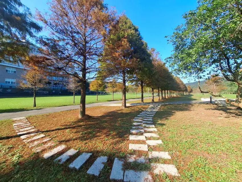 貢寮環保公園內開闊草地與林蔭交織，營造出悠閒漫遊氛圍