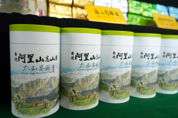 嘉義太和茶區高山茶