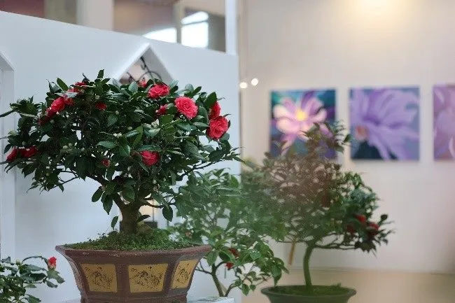 室內展場展示茶花盆景與藝術畫作，融合園藝與藝術之美。