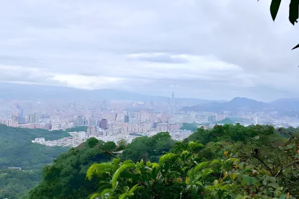 最美城市觀景台！烘爐地山步道輕鬆健行，飽覽台北101大樓極佳視野