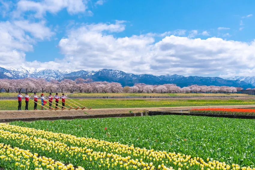 長號的悠長樂音在田野間響起，為朝日町春日四重奏添上動人的樂章。