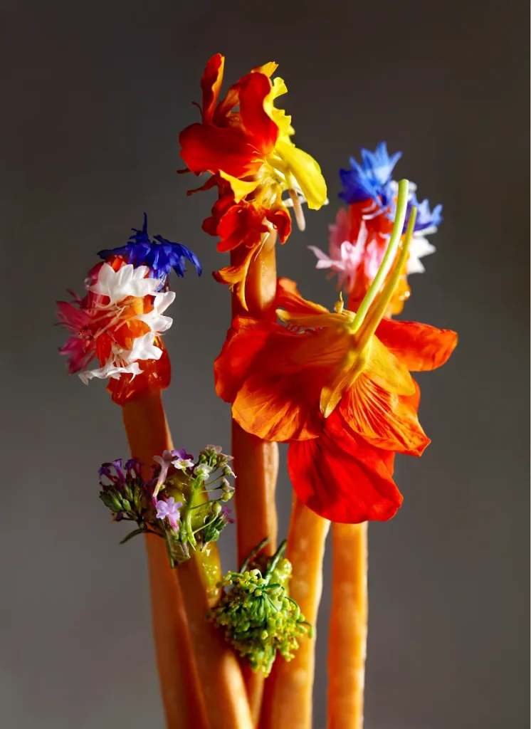 1887 by André 的料理概念