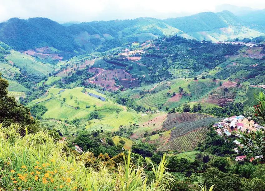 環境清幽、茶園密布的美斯樂，如今已成熱門的網紅打卡景點